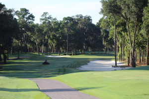 2015 Amateur Championship 019.JPG